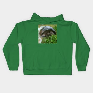 Galapagos Islands Giant Tortoise Turtle Kids Hoodie